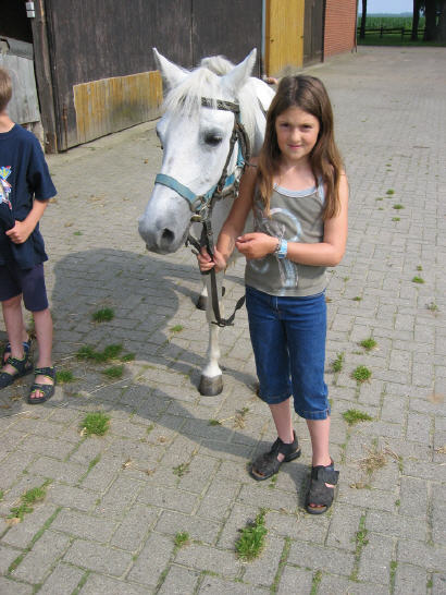 Emsland Mit Eigenem Pferd