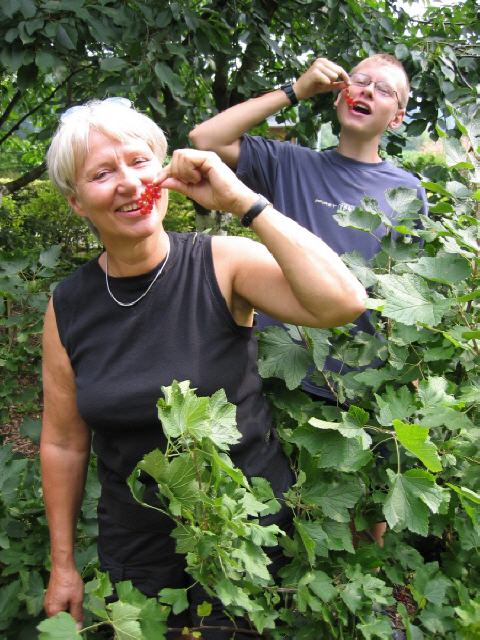 Obstgarten